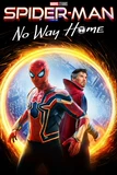 Spider-Man: No Way Home